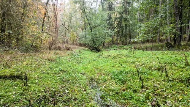 $310,000 | 36201 62nd Avenue South, Roy, WA 98580