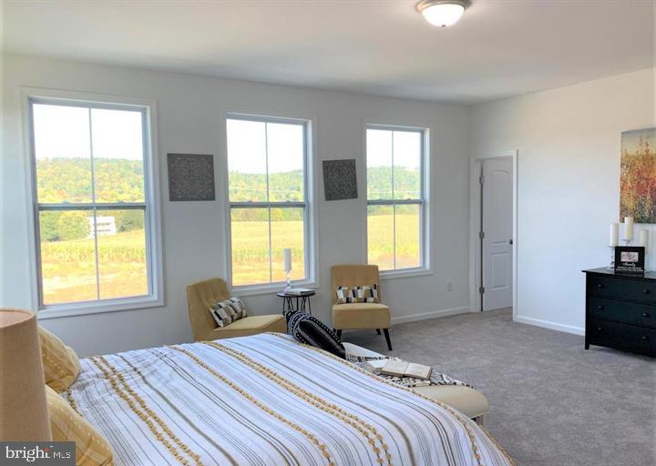 12 Glenaire Road Bunker Hill, WV 25413 - Photo 20 of 31 a bedroom with a bed and a couch
