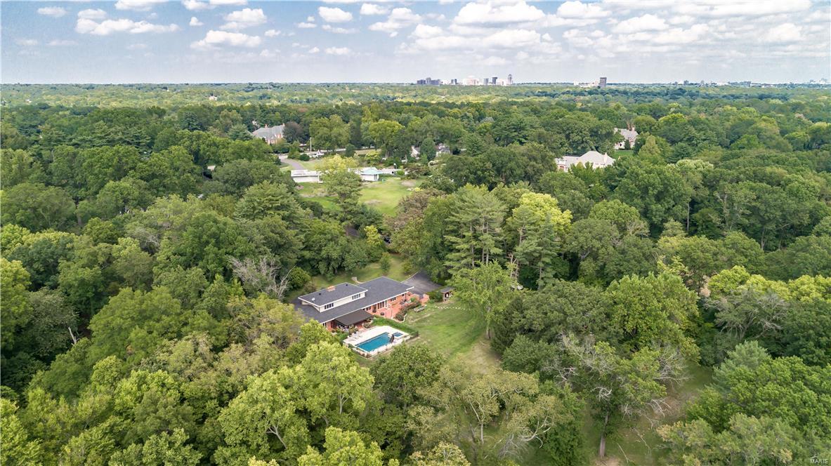 9934 Litzsinger Road Ladue, MO 63124 - Photo 4 of 11 Gallery Image 4