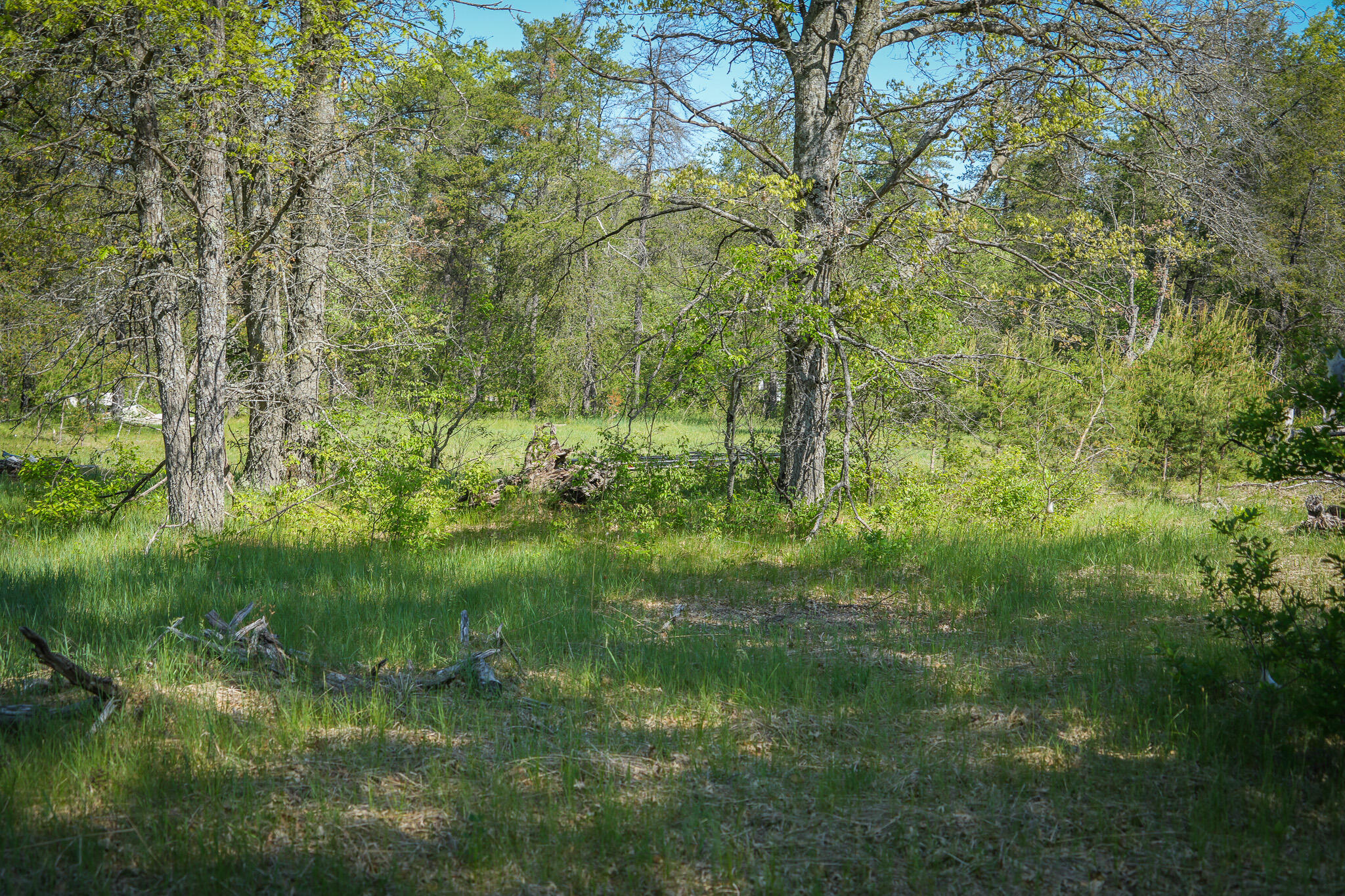 4364 West 4 Mile Road Irons, MI 49644 - Photo 14 of 39 4364 W 4 Mile Rd. Pic 14