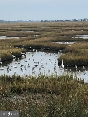 $2,125,000 | 12351 Meadow Drive, Berlin, MD 21811