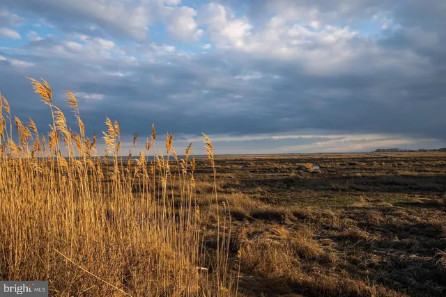 $2,125,000 | 12351 Meadow Drive, Berlin, MD 21811