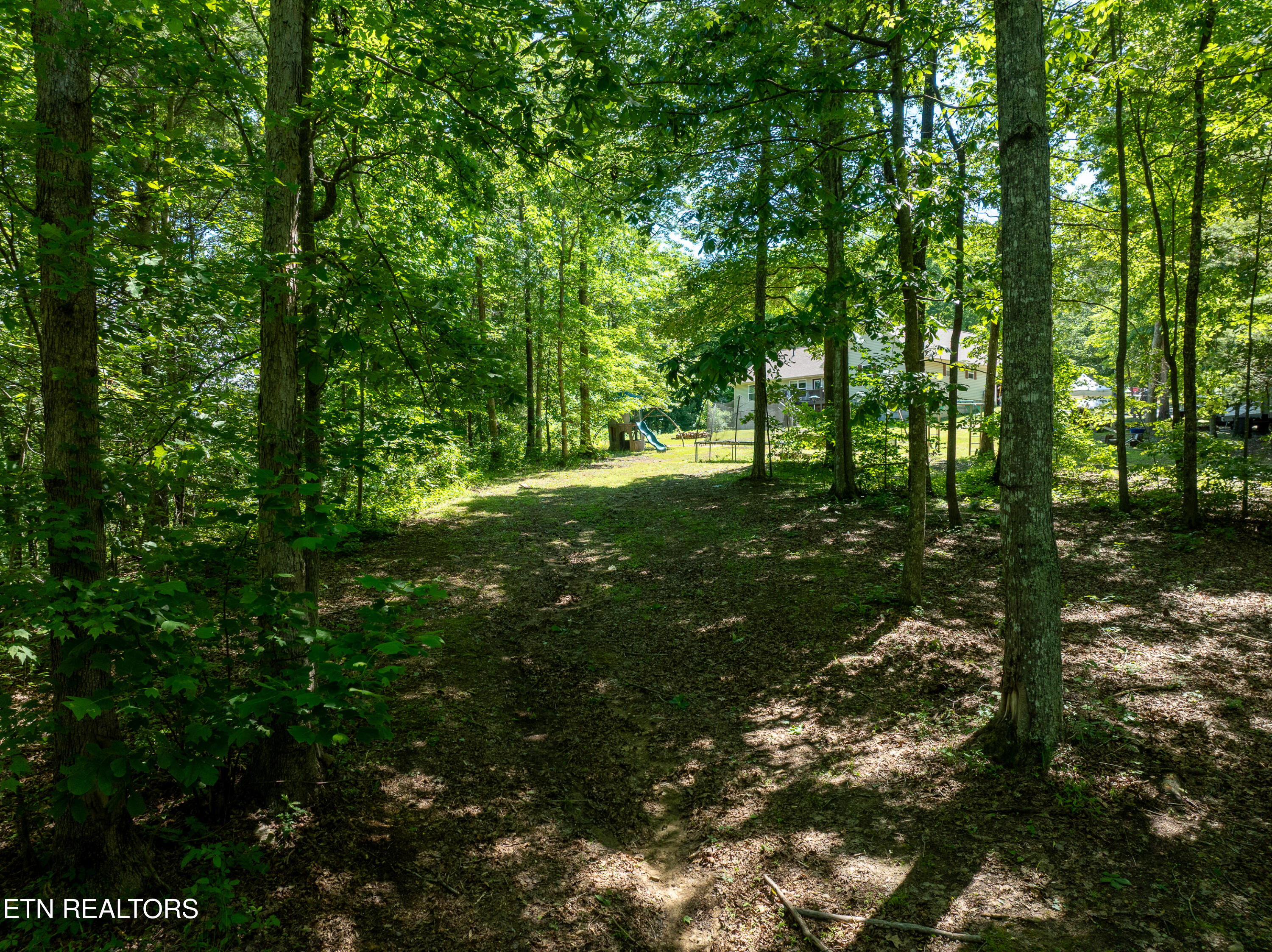 204 Forest Ridge Drive Harriman, TN 37748 - Photo 30 of 30 DJI_0586