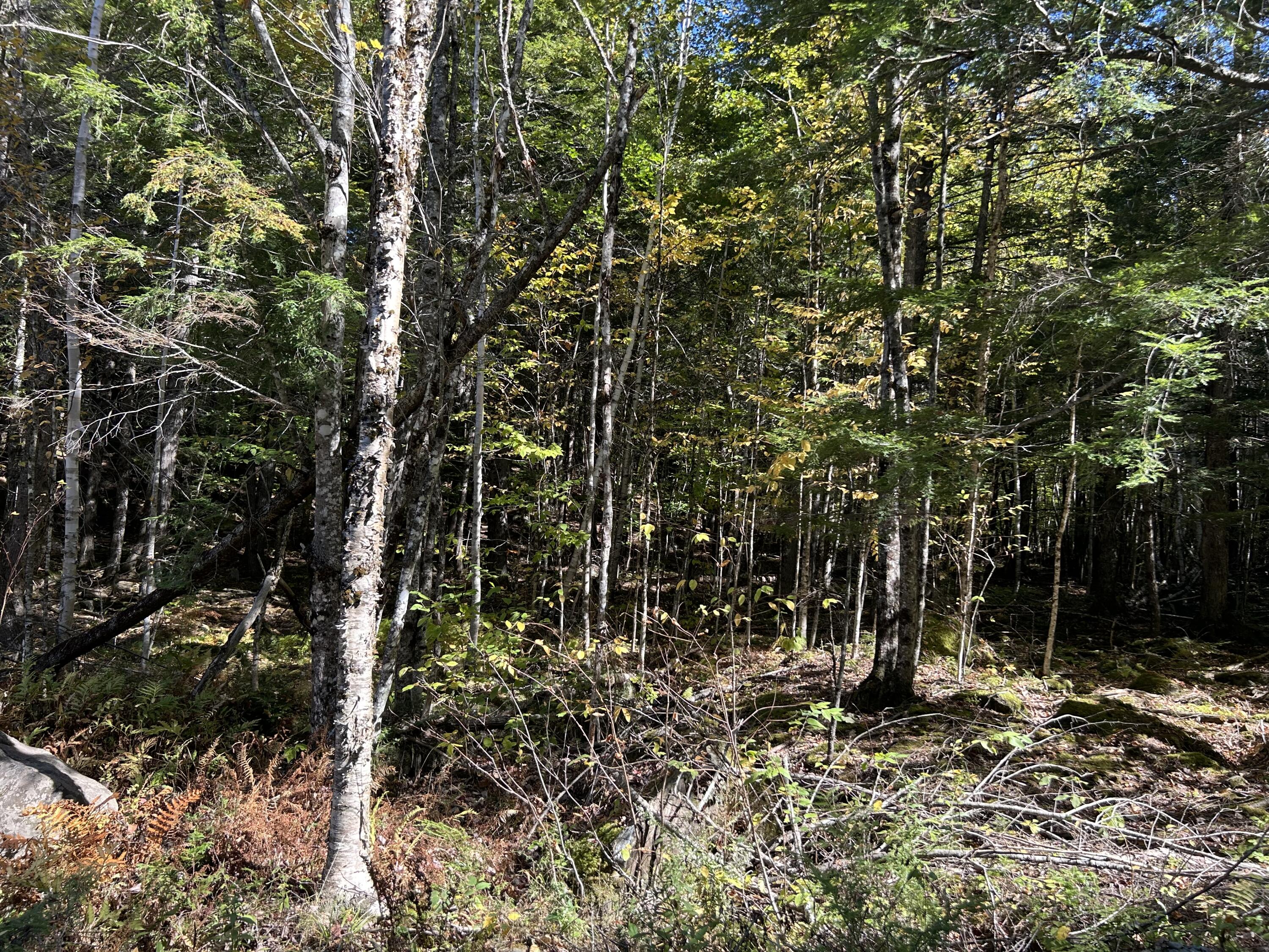 M6-l16-12-3 Beaver Brook Road Dover-Foxcroft, ME 04426 - Photo 4 of 11 IMG_1229