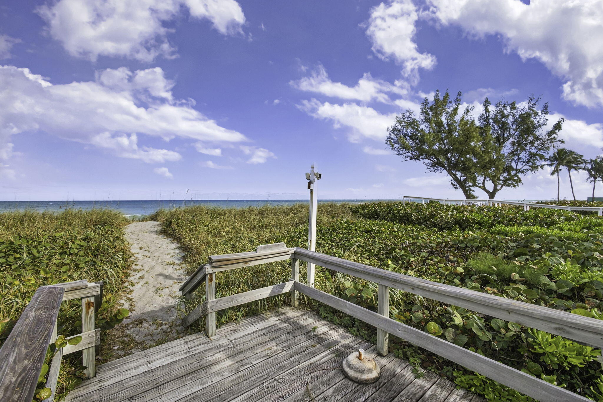 77 North Beach Road Jupiter Island, FL 33455 - Photo 114 of 125 106-web-or-mls-5D1A1905