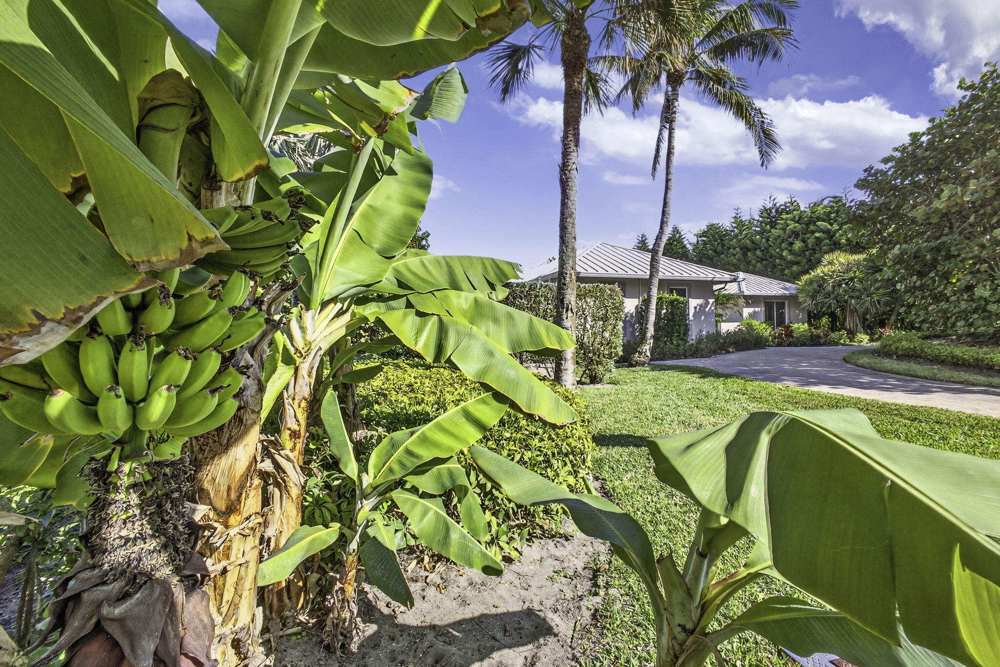 77 North Beach Road Jupiter Island, FL 33455 - Photo 17 of 125 8-web-or-mls-5D1A1664