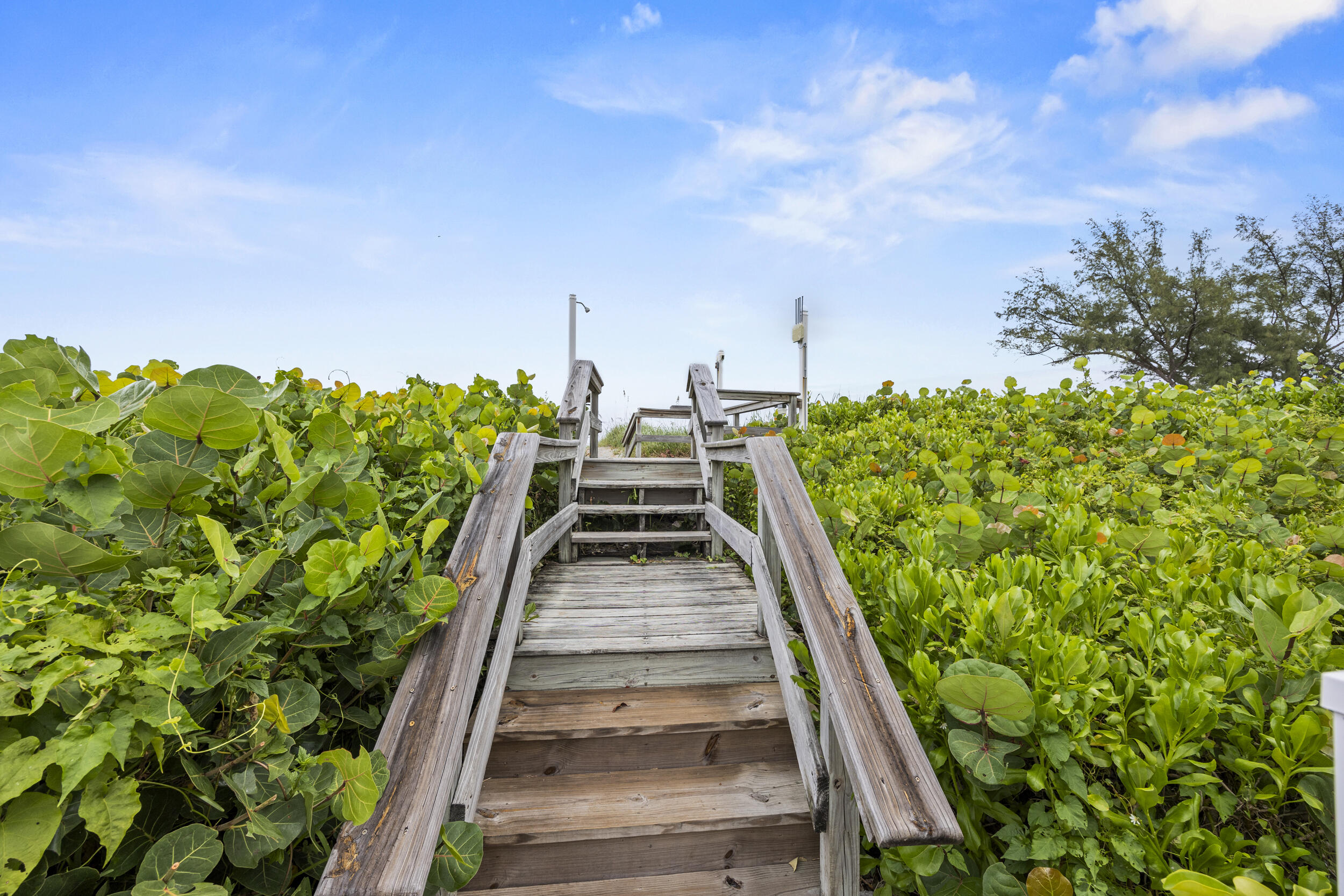 77 North Beach Road Jupiter Island, FL 33455 - Photo 25 of 125 66_453a3291