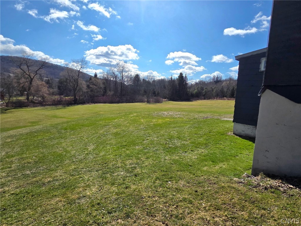 3312 Clute Road Blodgett Mills, NY 13738 - Photo 25 of 31