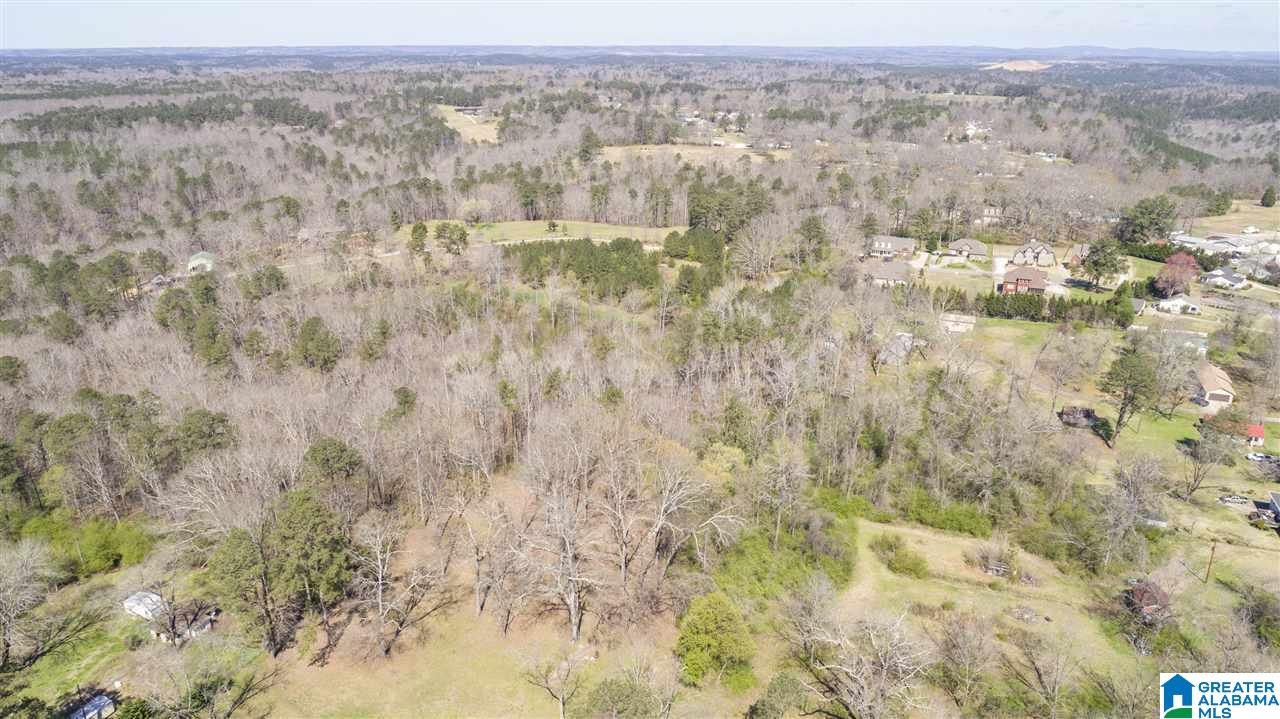 850 Rosemary Way Mount Olive, AL 35117 - Photo 7 of 12