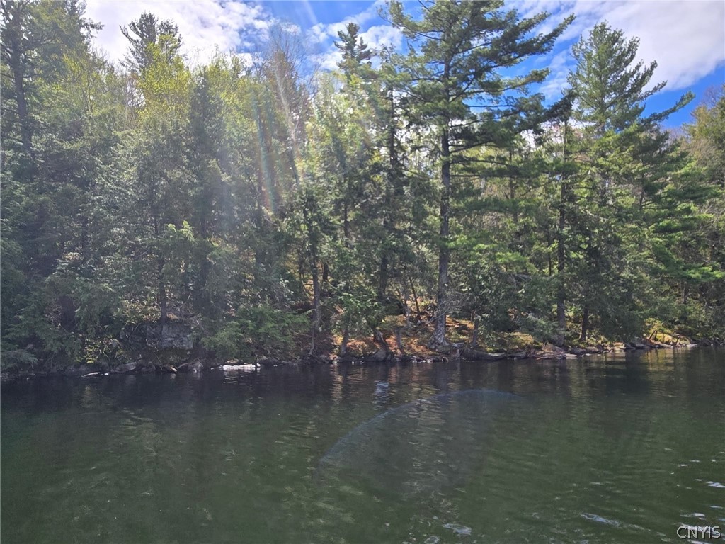 0 Sweet Point Road Redwood, NY 13679 - Photo 10 of 10