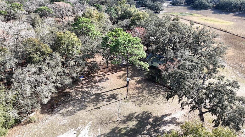 12510 Robinhood Road Hudson, FL 34669 - Photo 11 of 12 a view of a yard with a tree