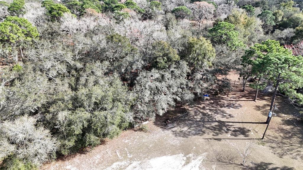 12510 Robinhood Road Hudson, FL 34669 - Photo 12 of 12 a view of a yard with large trees