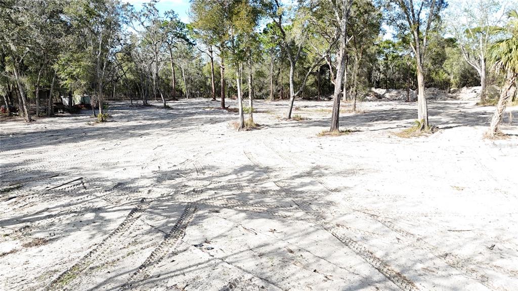 12510 Robinhood Road Hudson, FL 34669 - Photo 7 of 12 a view of empty space with trees