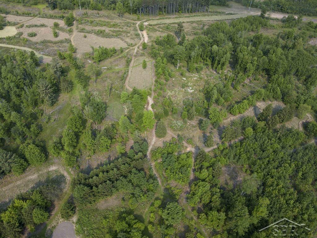 66-acres North Geneva Road Coleman, MI 48618 - Photo 3 of 44 50112001-2.JPG