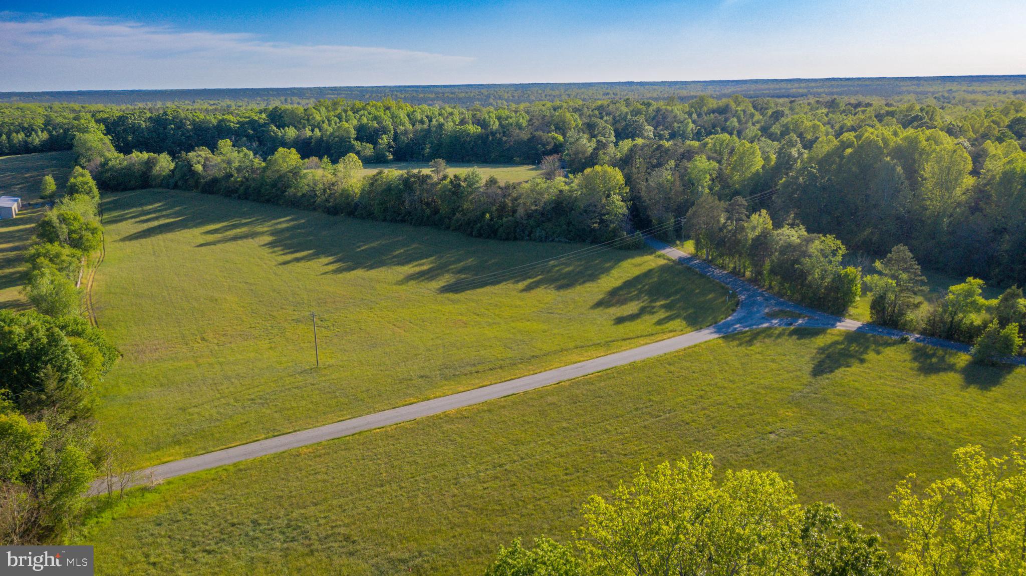 0 Trivette Road Beaverdam, VA 23015 - Photo 13 of 45