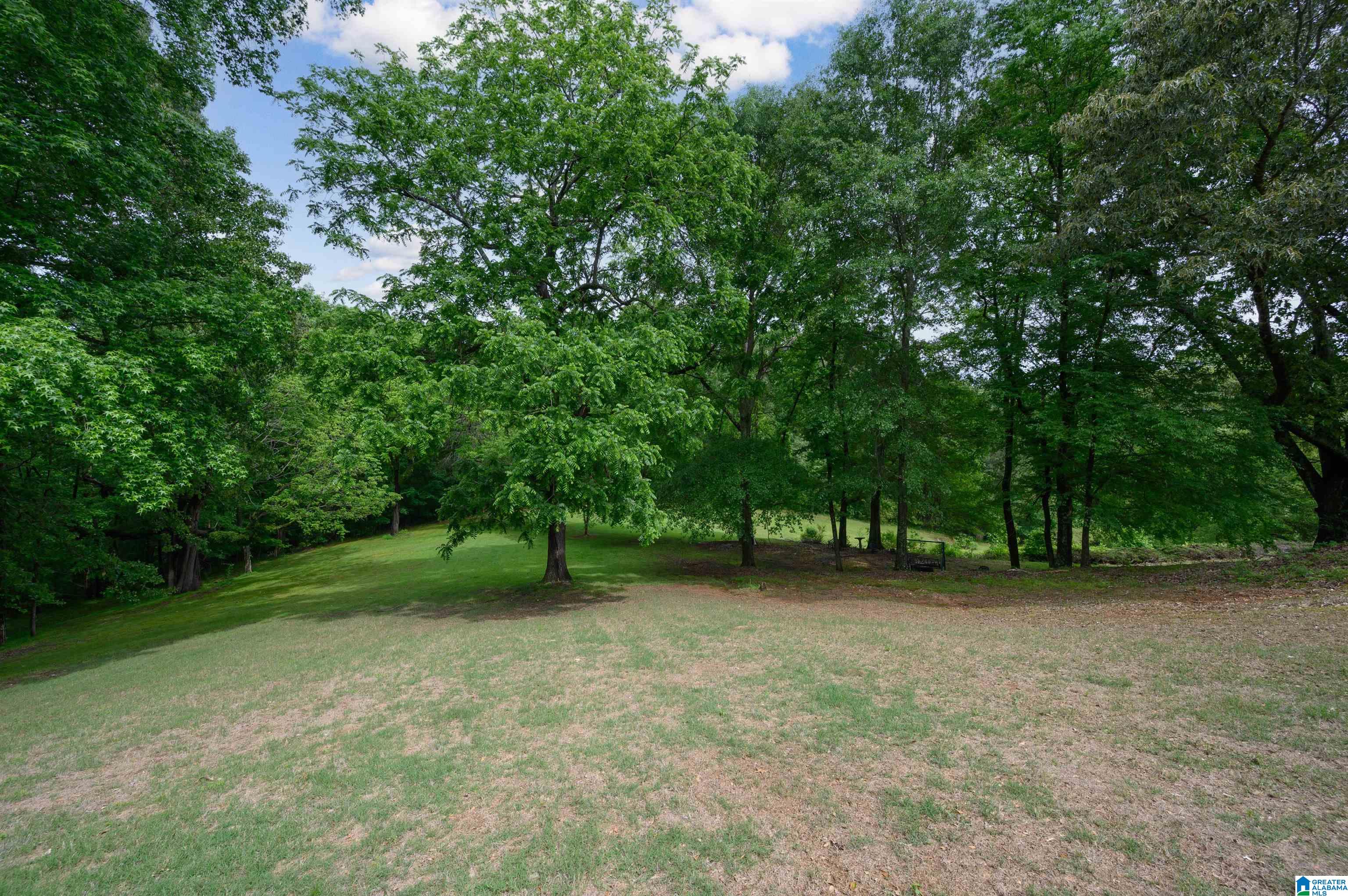 254 MacDonald Lk Road Springville, AL 35146 - Photo 32 of 43 Gallery Image 32