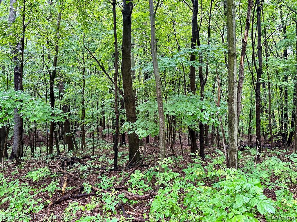 0 South Lake Pleasant Road Metamora, MI 48455 - Photo 14 of 32