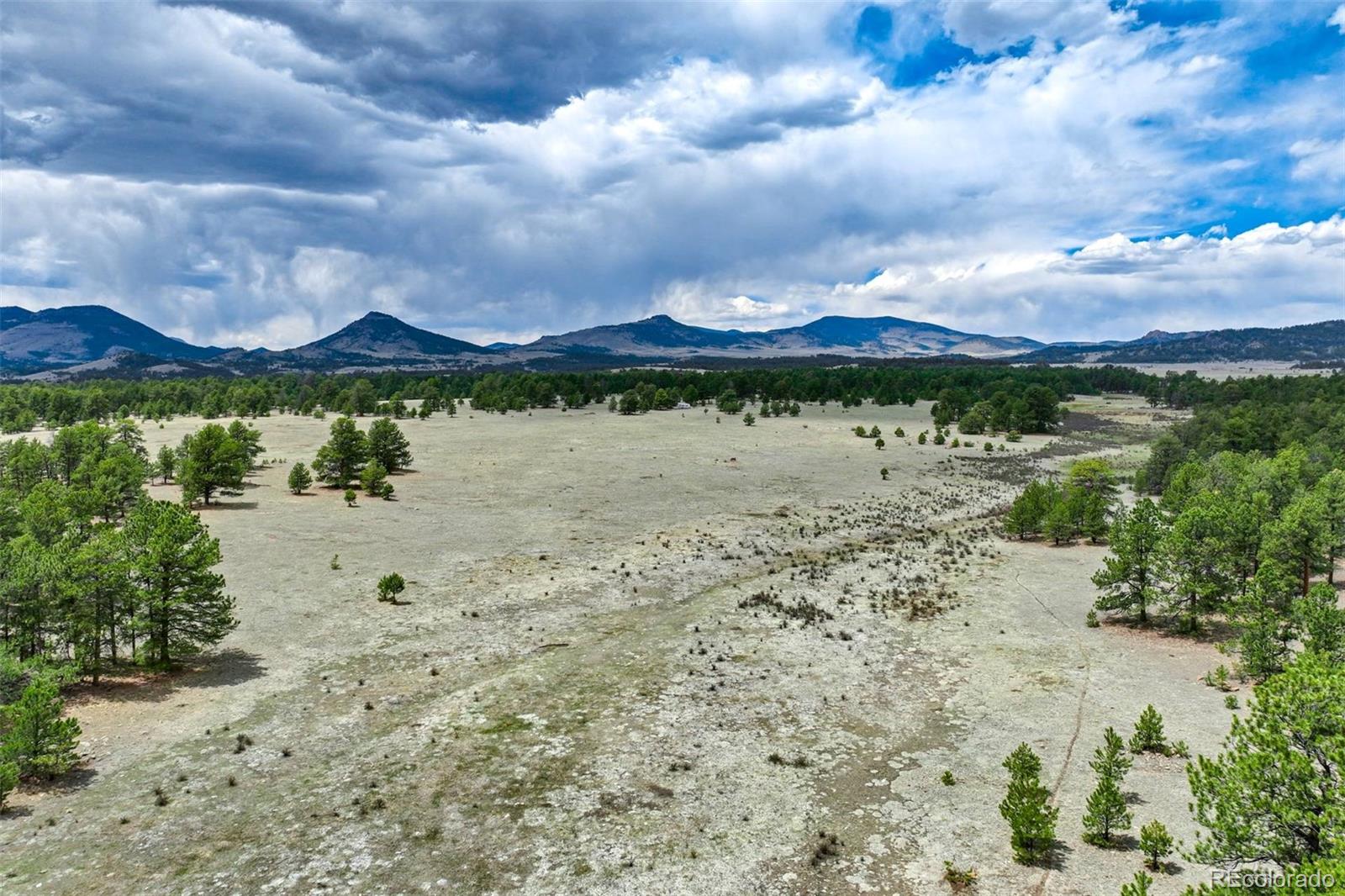 103 Doe Valley Road Guffey, CO 80820 - Photo 23 of 46