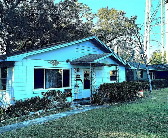 a view of a house with a yard plants and large tree