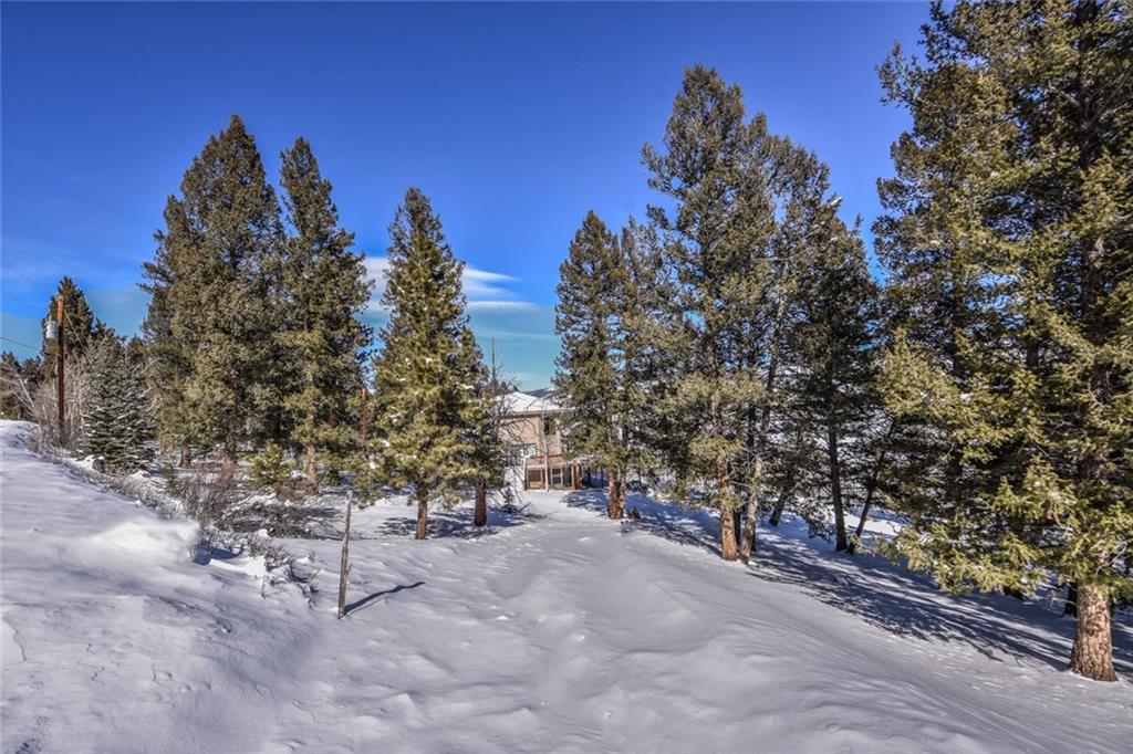 2446 Redhill Road Fairplay, CO 80440 - Photo 33 of 34 Gallery Image 33