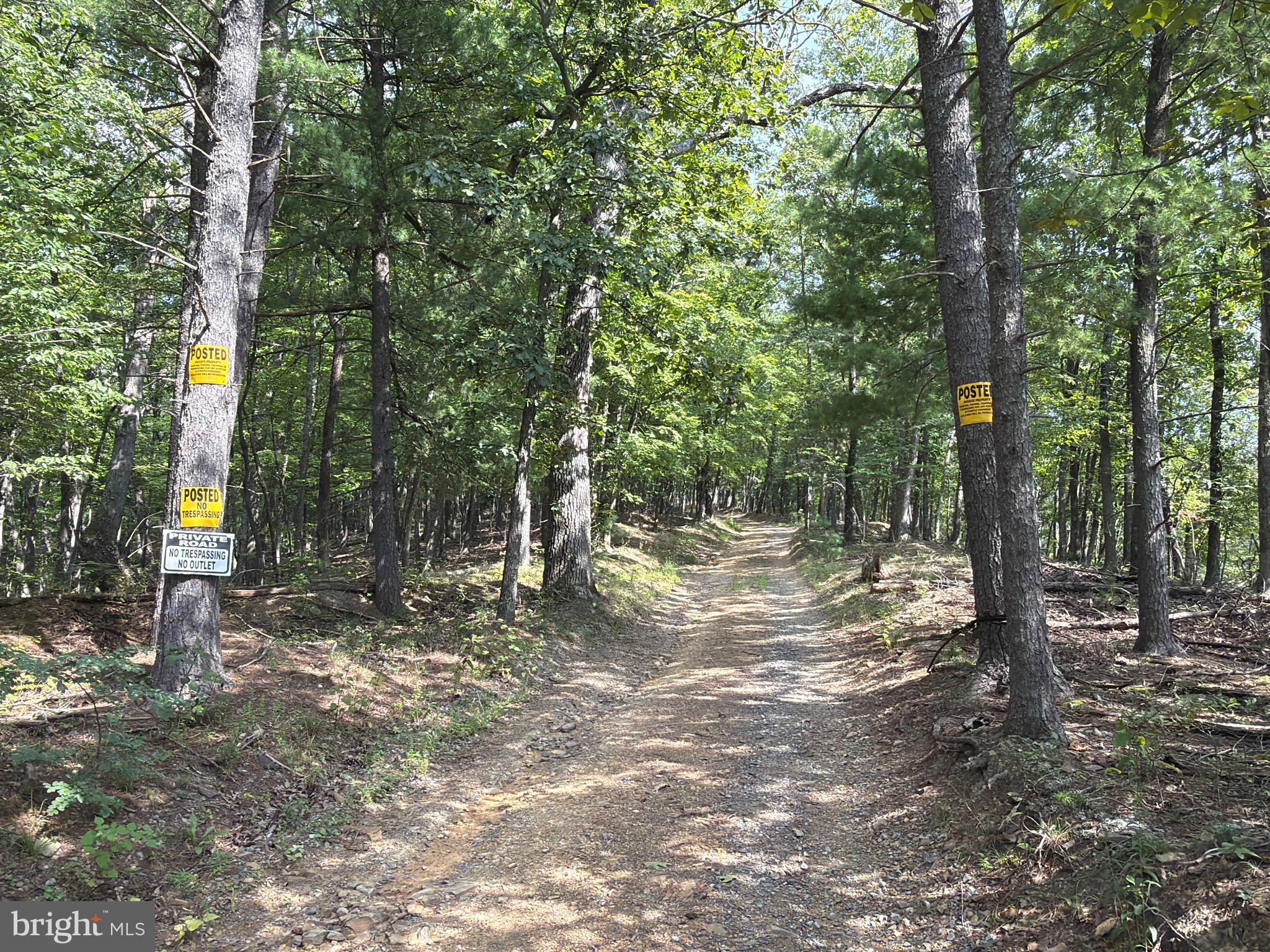 24200 East Hancock Road Flintstone, MD 21530 - Photo 111 of 126 Road going towards the house