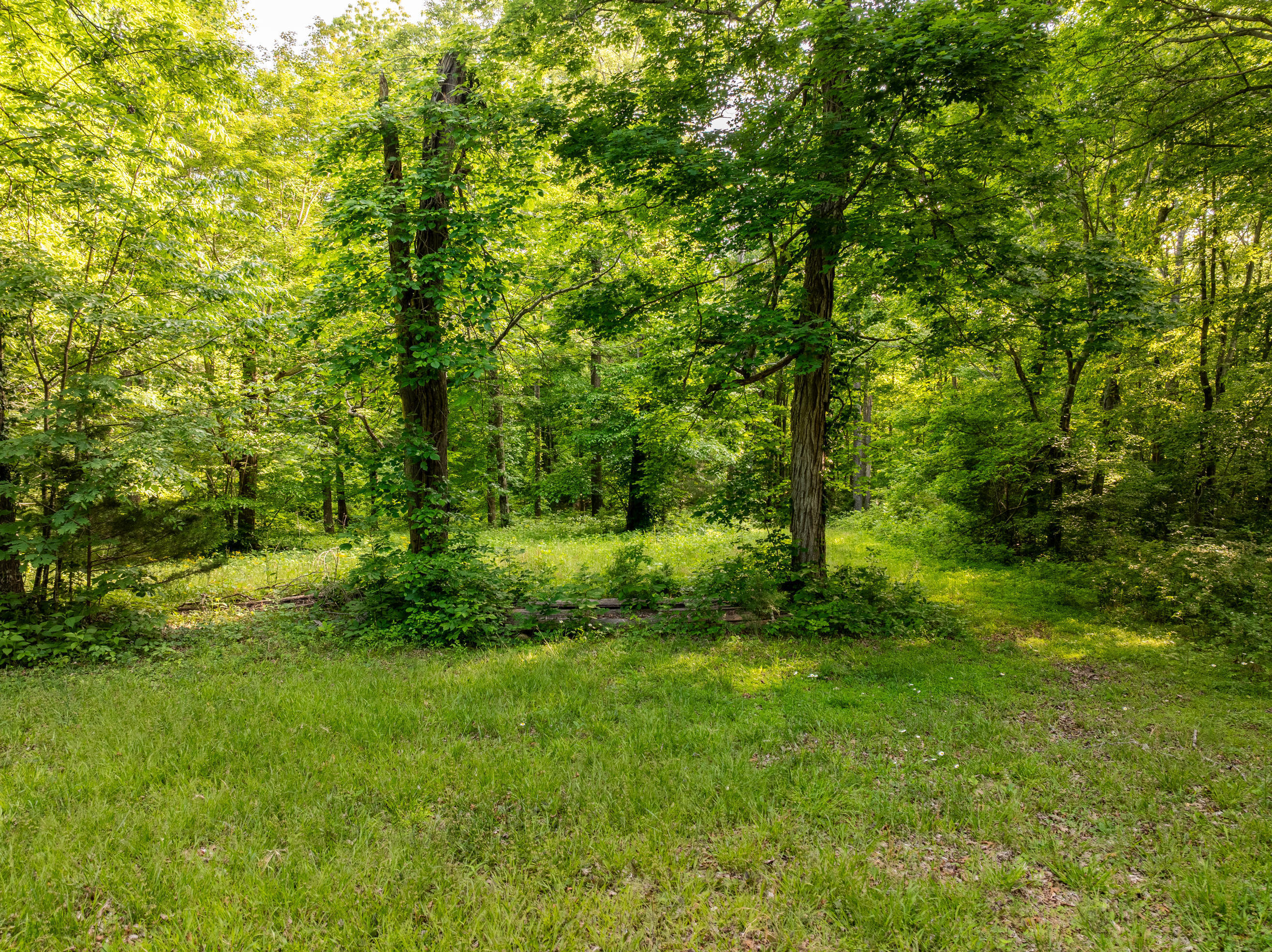 815 Jr Phipps Road Monticello, KY 42633 - Photo 10 of 71 DJI_0354-HDR-2630x1970