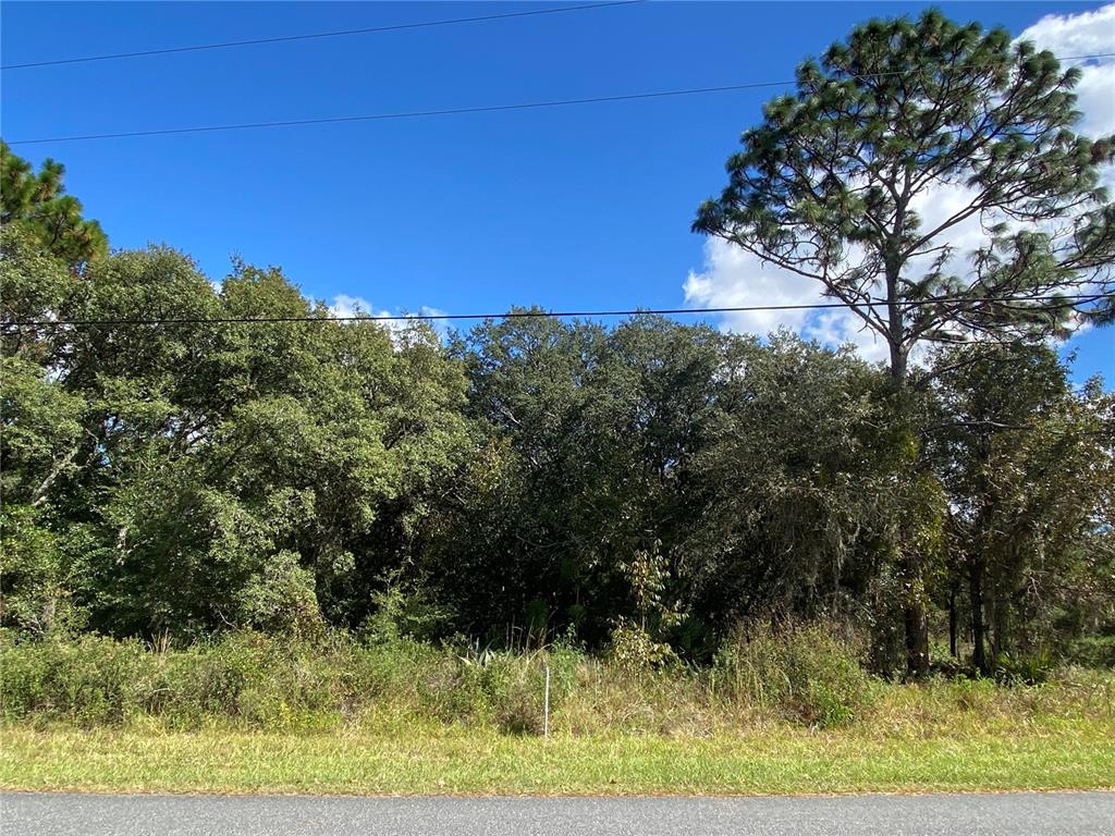 0 Southwest 58th Avenue Road Ocala, FL 34476 - Photo 1 of 1 a view of a yard