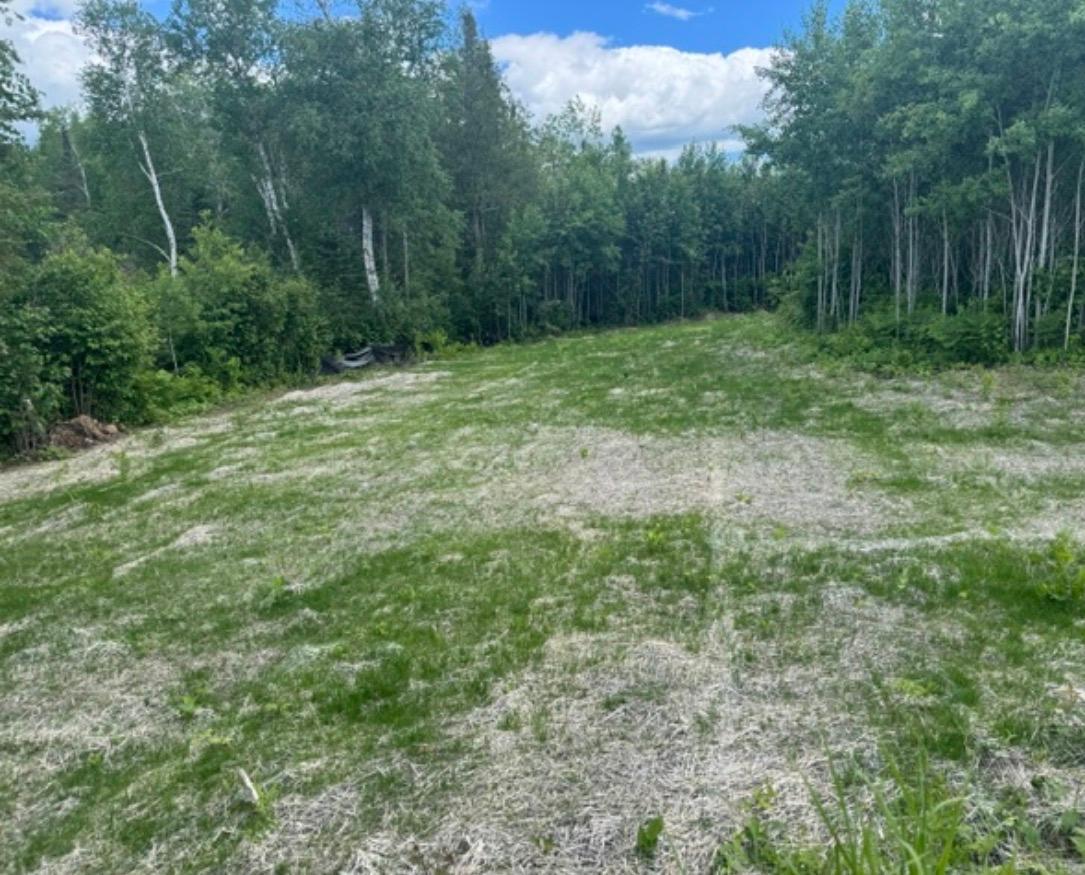 Tbd6.5 Moose Lake Road Duluth, MN 55803 - Photo 12 of 18