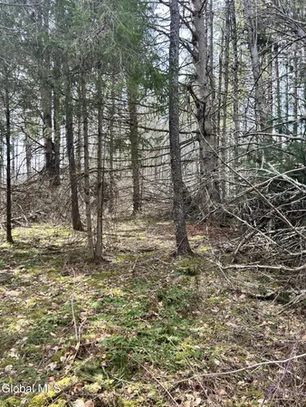 $45,000 | 0 Weaver Dam Road, Petersburgh, NY 12138