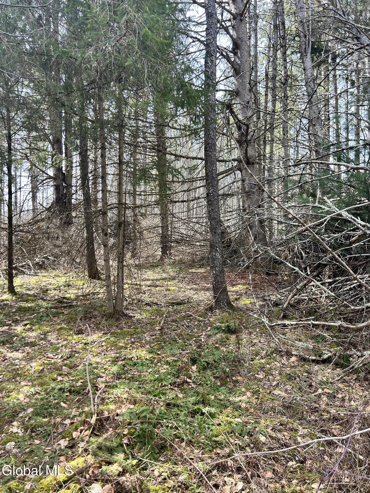 0 Weaver Dam Road Petersburgh, NY 12138 - Photo 1 of 11 Interior