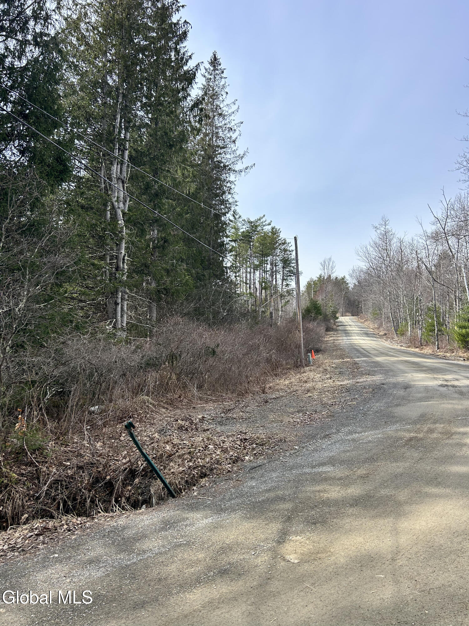 0 Weaver Dam Road Petersburgh, NY 12138 - Photo 3 of 11 Frontage