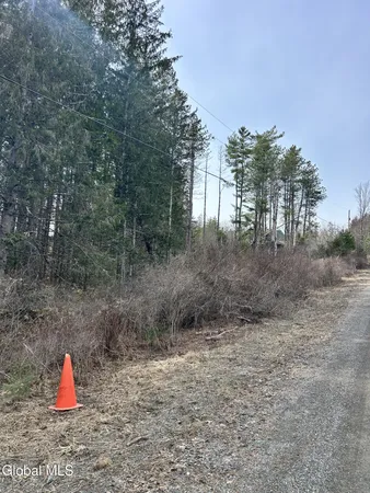 $45,000 | 0 Weaver Dam Road, Petersburgh, NY 12138