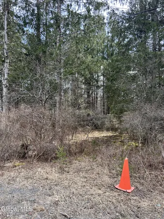 $45,000 | 0 Weaver Dam Road, Petersburgh, NY 12138
