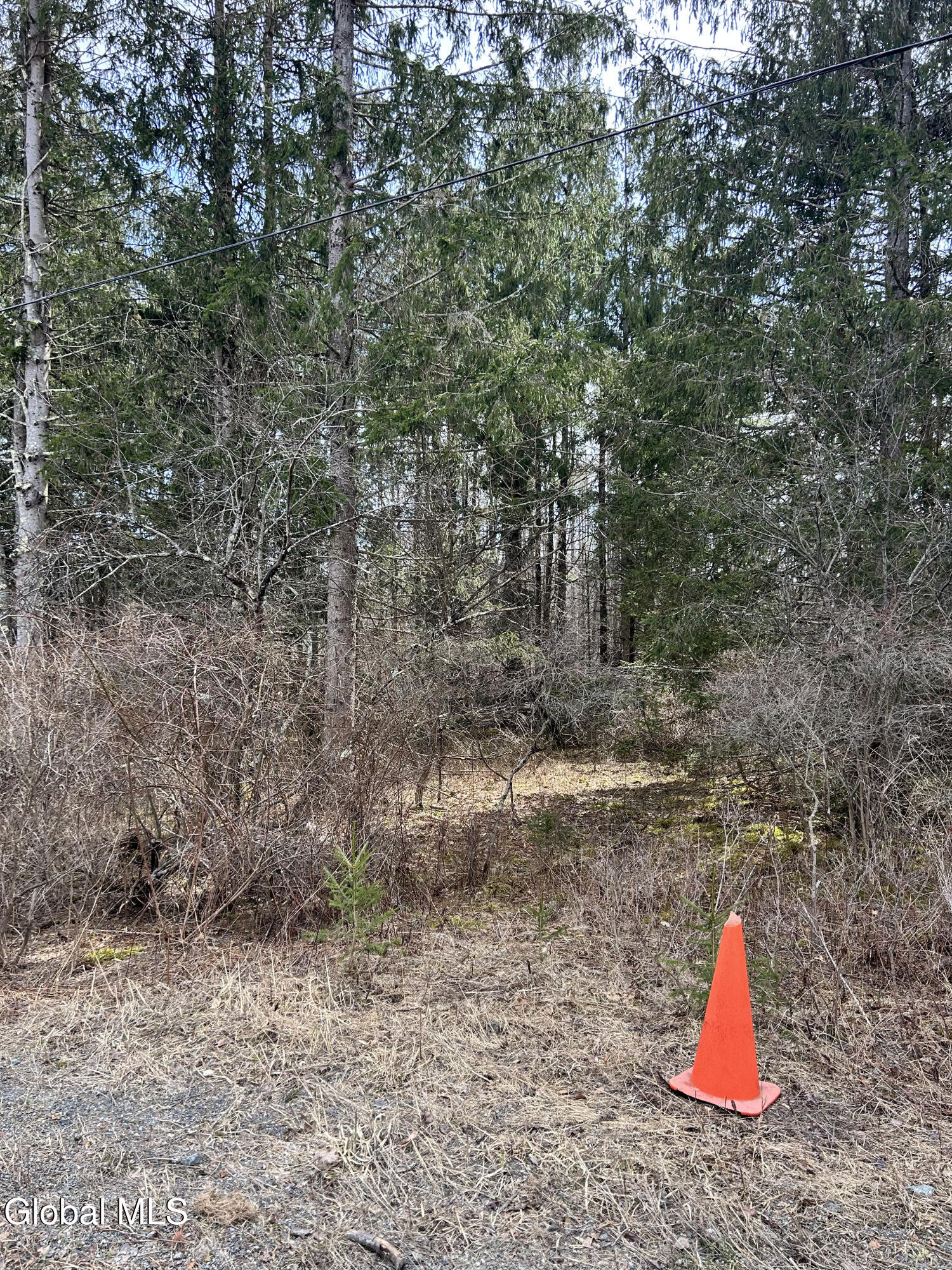 0 Weaver Dam Road Petersburgh, NY 12138 - Photo 5 of 11 Frontage