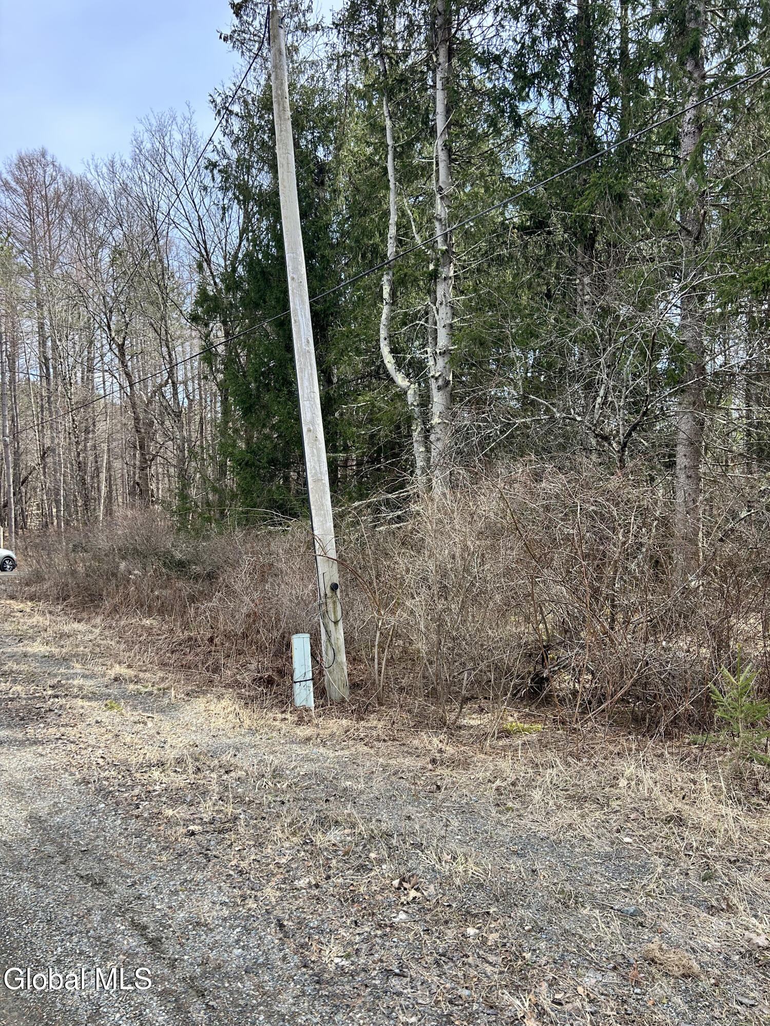 0 Weaver Dam Road Petersburgh, NY 12138 - Photo 6 of 11 Frontage
