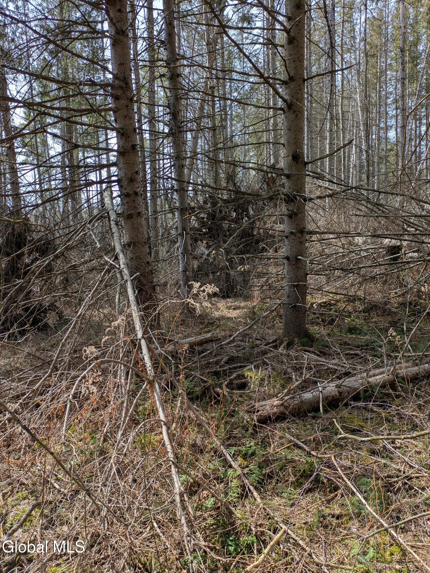 0 Weaver Dam Road Petersburgh, NY 12138 - Photo 7 of 11 Interior
