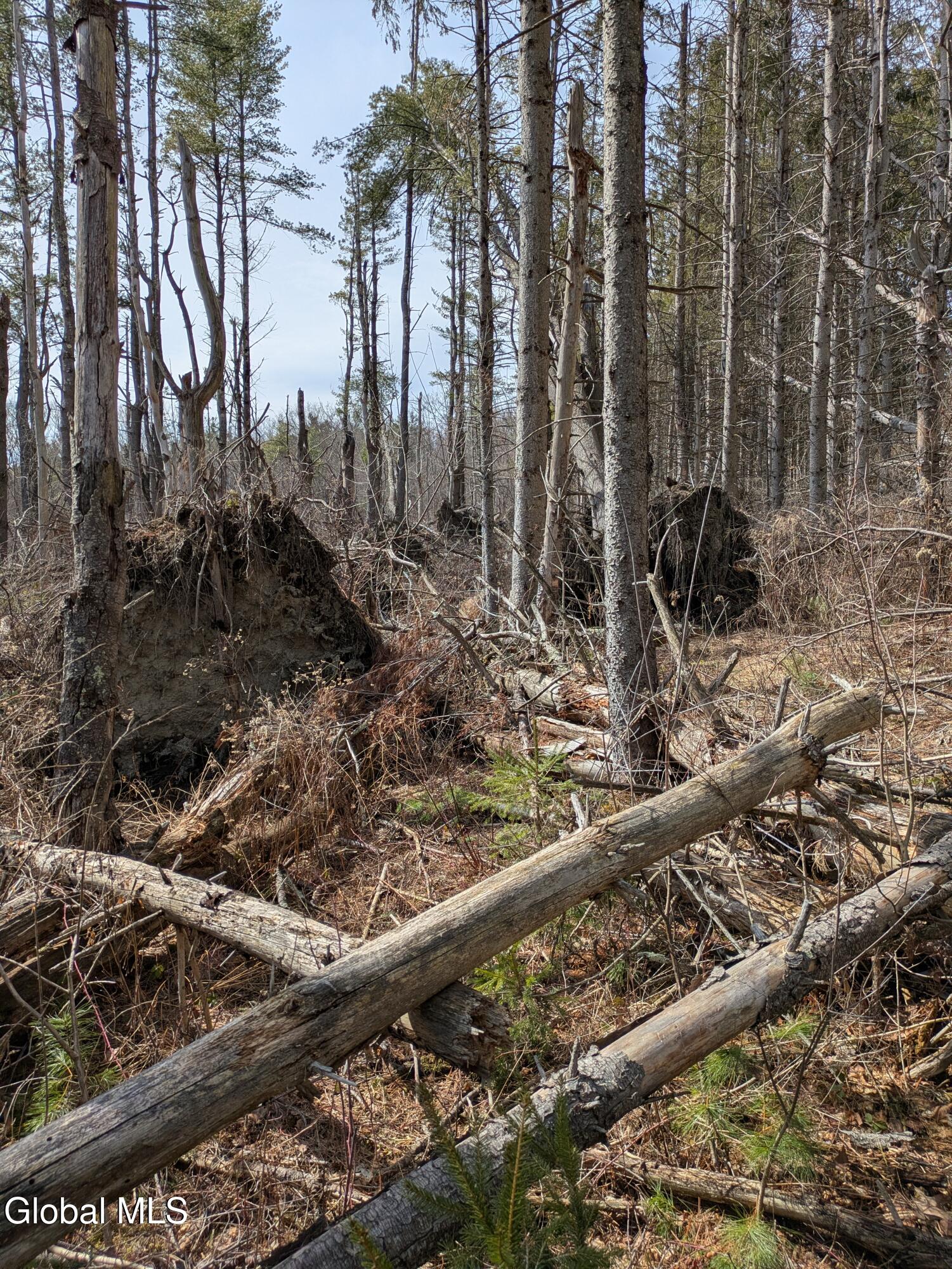 0 Weaver Dam Road Petersburgh, NY 12138 - Photo 8 of 11 Interior