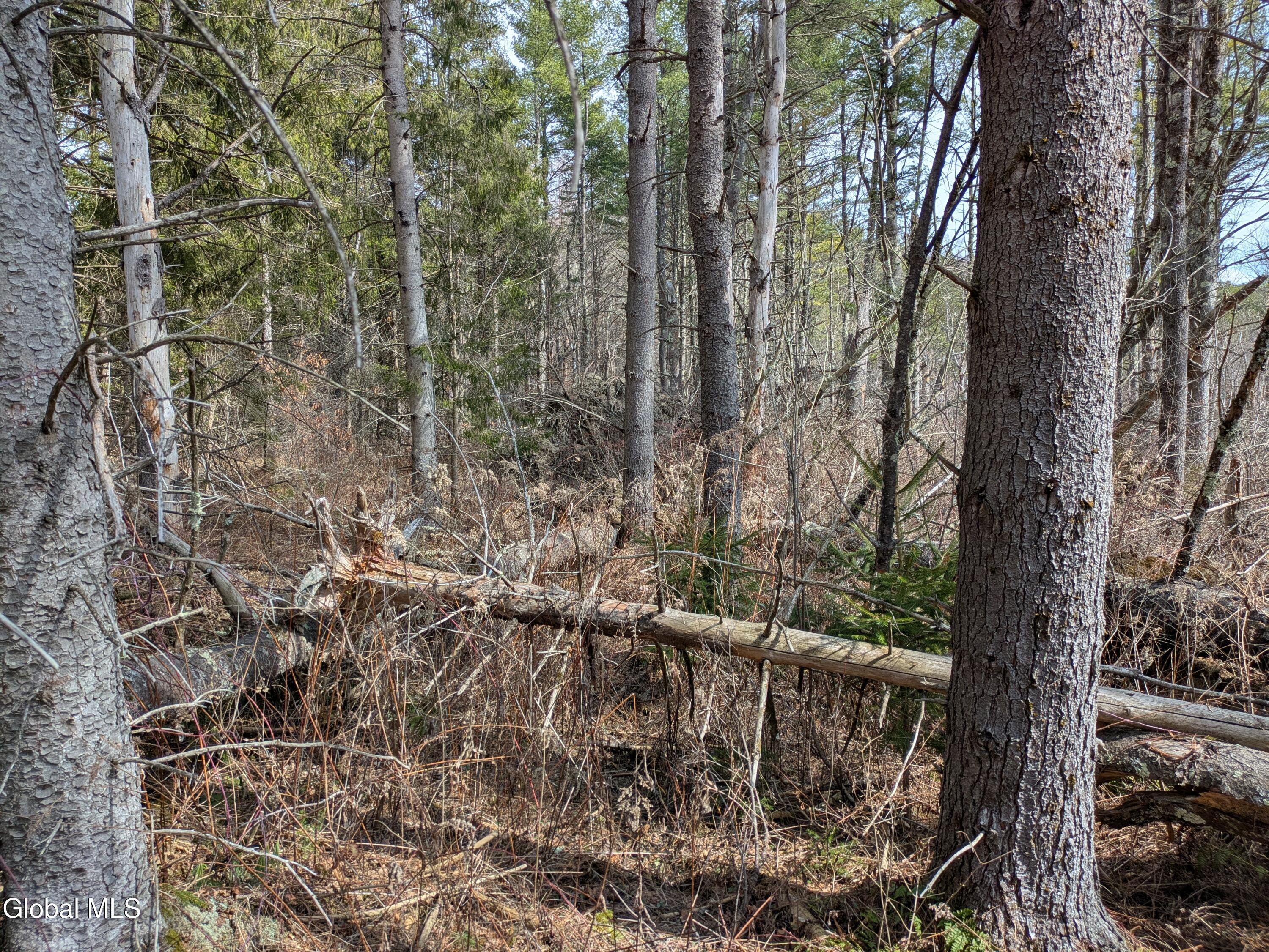 0 Weaver Dam Road Petersburgh, NY 12138 - Photo 9 of 11 Interior
