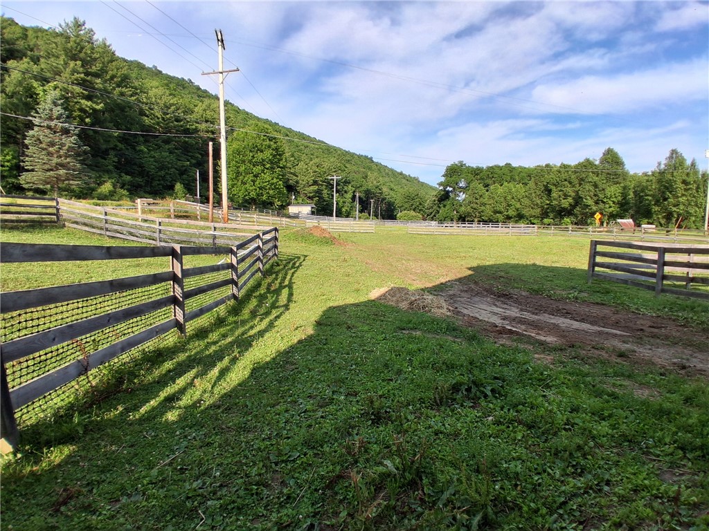 11683 County Route 119 Addison, NY 14801 - Photo 22 of 37 Pasture