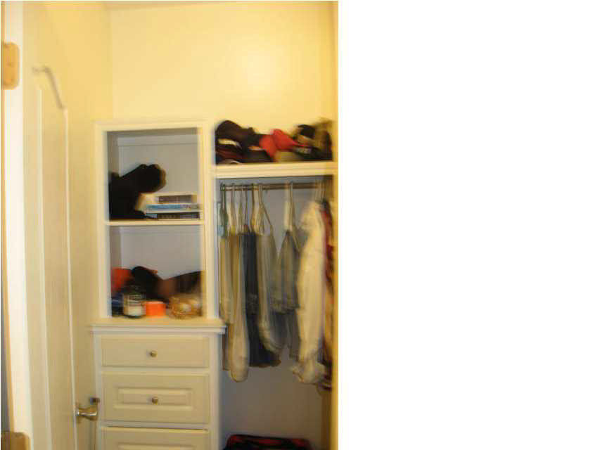 208 Copper Ridge Way Florence, MS 39073 - Photo 17 of 28 CLOSET