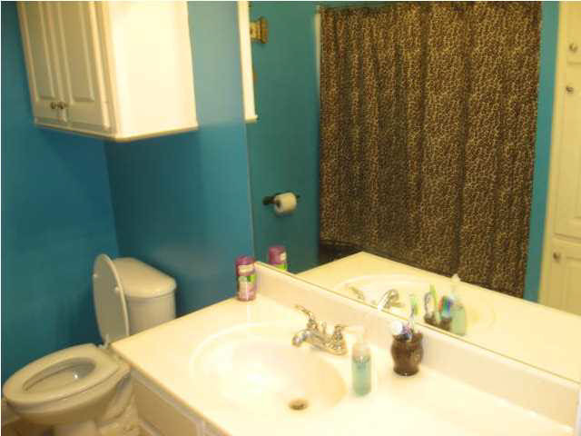 208 Copper Ridge Way Florence, MS 39073 - Photo 21 of 28 HALL BATH