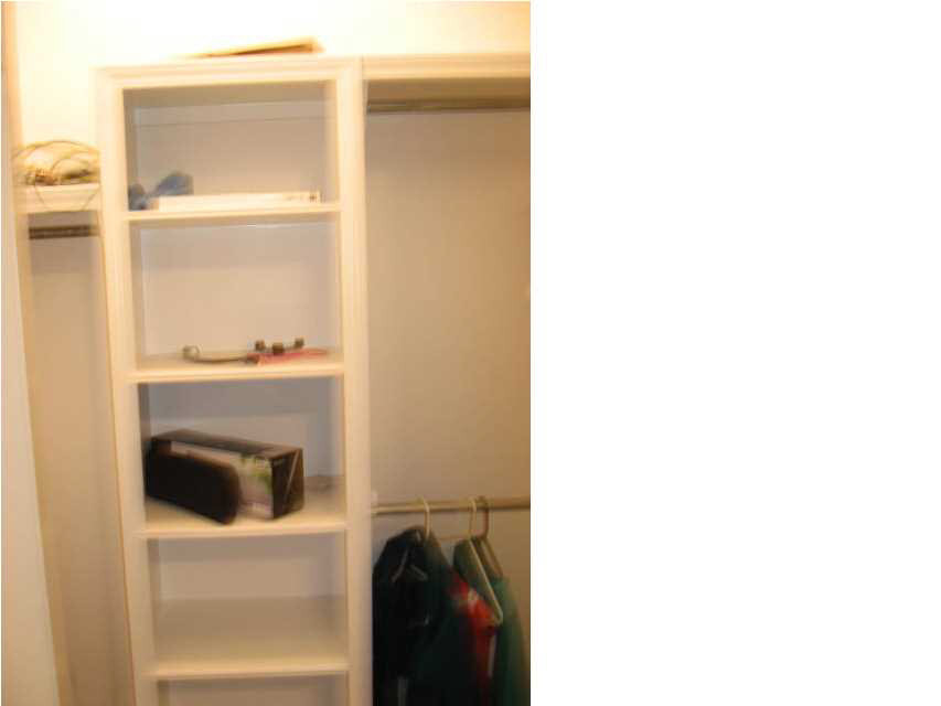 208 Copper Ridge Way Florence, MS 39073 - Photo 23 of 28 WALK-IN CLOSET IN BEDROOM