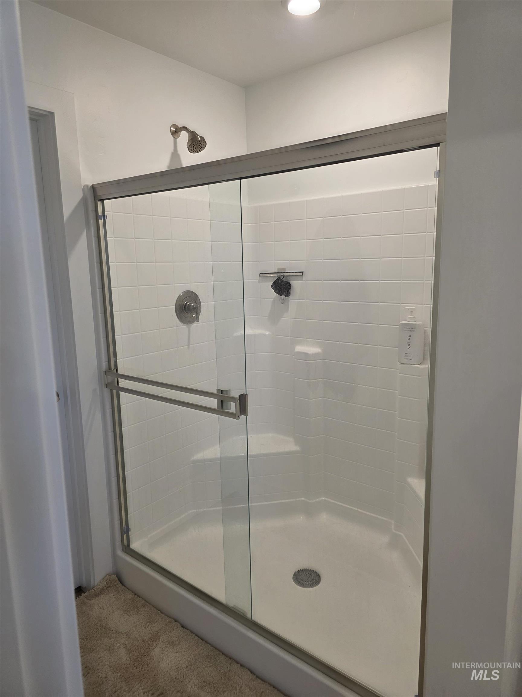168 North Stratus Way Eagle, ID 83616 - Photo 22 of 35 Bathroom featuring carpet floors and a stall shower
