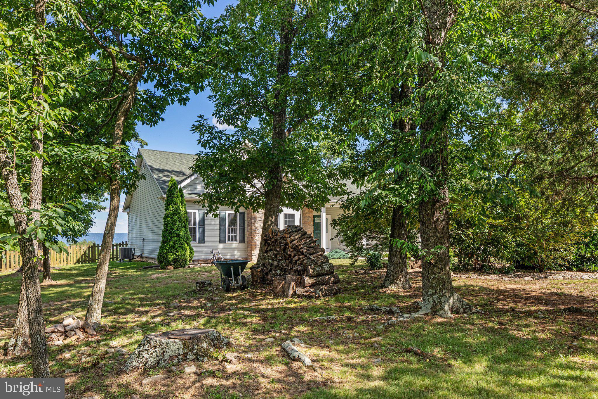 516 Zepp Road Maurertown, VA 22644 - Photo 45 of 63 Some trees