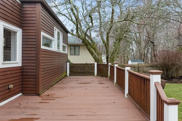 a view of a backyard with a tree