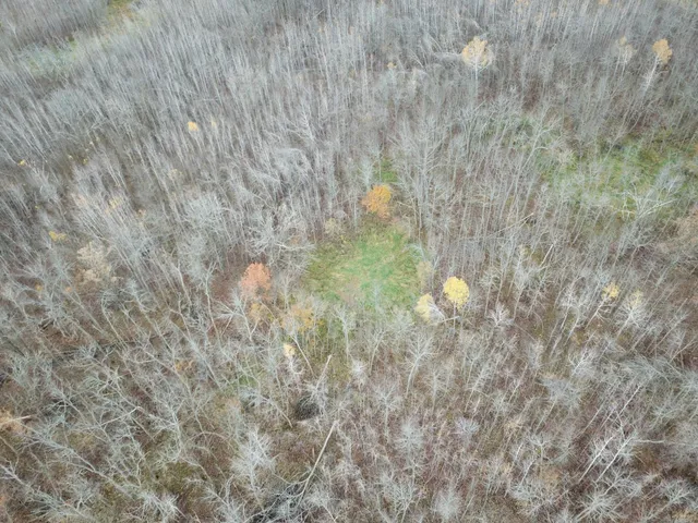 $109,000 | Tbd Tbd Road, Shevlin, MN 56676