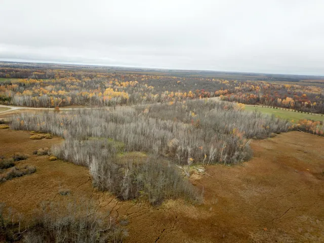 $109,000 | Tbd Upper Rice Lake Road, Shevlin, MN 56676