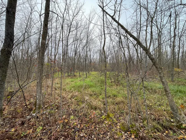 $109,000 | Tbd Tbd Road, Shevlin, MN 56676