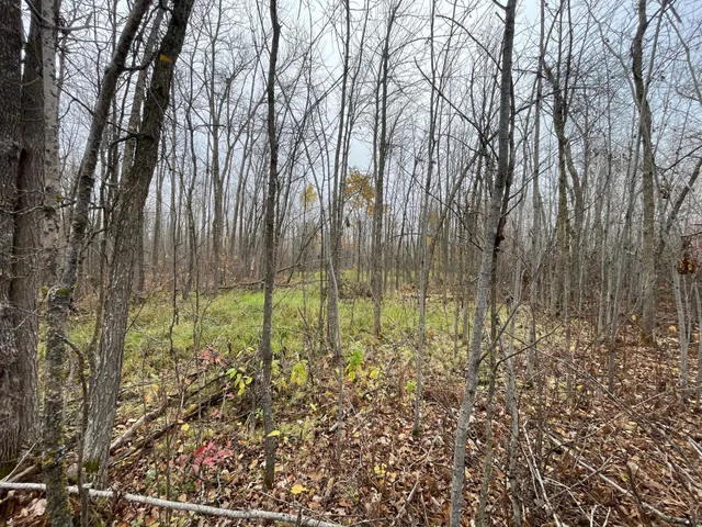 $109,000 | Tbd Tbd Road, Shevlin, MN 56676