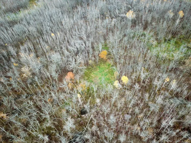 $109,000 | Tbd Upper Rice Lake Road, Shevlin, MN 56676